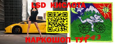 дурь Гатчина