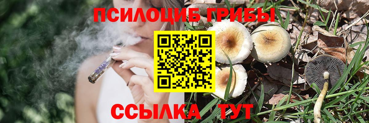 Псилоцибиновые грибы Psilocybe  Вход с VPN  Галлюциногенные грибы GOLDEN TEACHER  Миллерово 